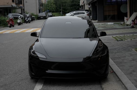 Tesla Model 3 Performance AWD — пробег 17 000 км — фото 3 из 5