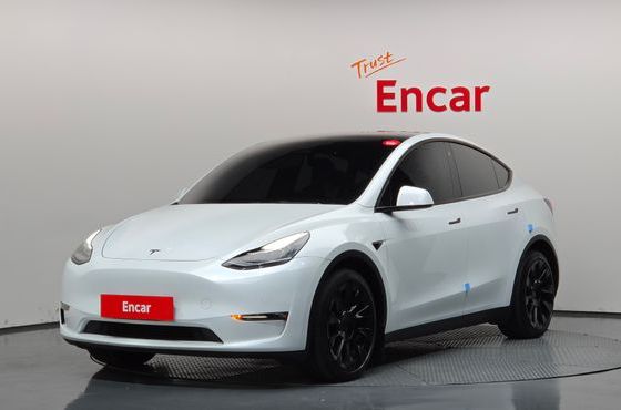Tesla Model Y Long Range AWD — пробег 156 075 км — фото 1 из 5