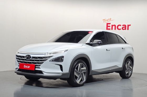 Hyundai Nexo Premium — пробег 16 819 км — фото 1 из 5