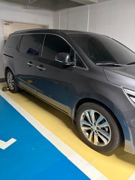 Kia Carnival 7-seater Limousine VIP — пробег 275 235 км — фото 2 из 4