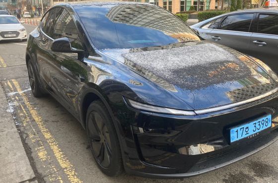 Tesla Model Y RWD — пробег 300 км — фото 3 из 5