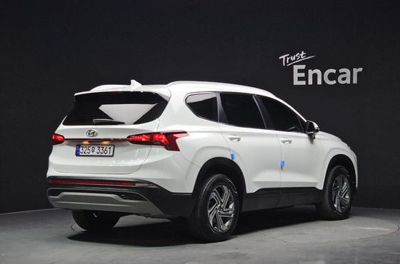 Hyundai Santafe Diesel 2.2 4WD Exclusive — пробег 87 655 км — фото 2 из 5