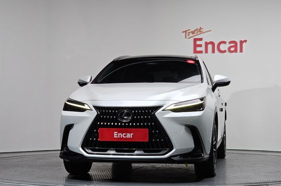 Lexus NX Luxury — пробег 94 769 км — фото 3 из 5