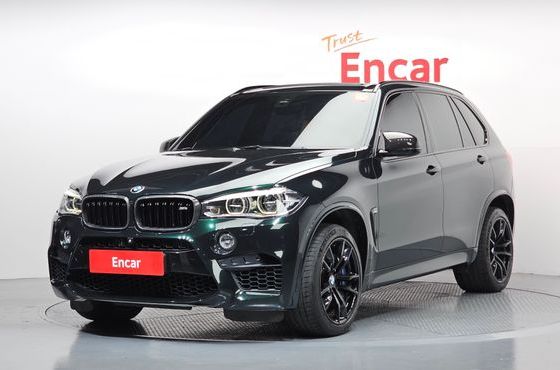 BMW X5M 4.4 — пробег 168 765 км — фото 1 из 5