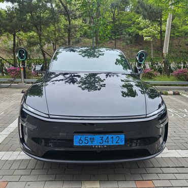 Tesla Model Y Premium RWD — пробег 500 км — фото 1 из 5