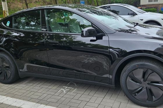 Tesla Model Y Premium RWD — пробег 500 км — фото 2 из 5
