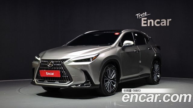 Lexus NX Luxury — пробег 1 178 км — фото 1 из 5