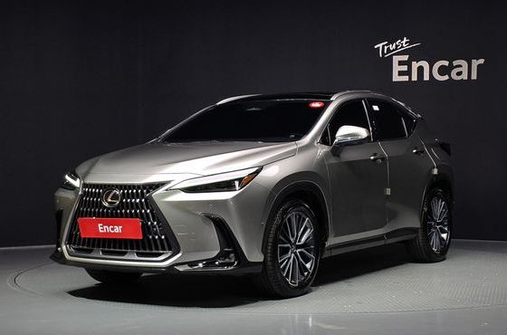 Lexus NX Luxury — пробег 1 178 км — фото 1 из 5