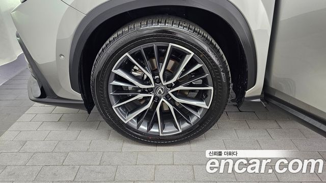 Lexus NX Luxury — пробег 1 178 км — фото 5 из 5
