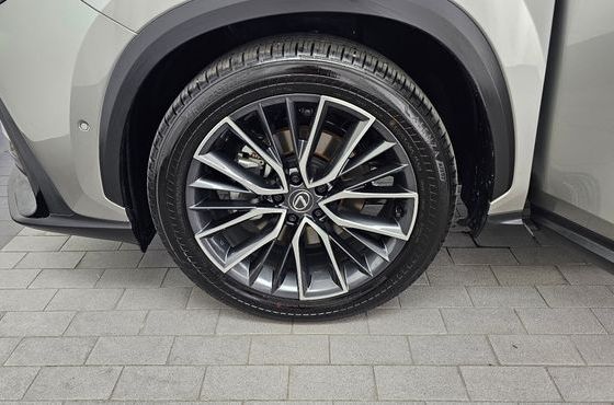 Lexus NX Luxury — пробег 1 178 км — фото 5 из 5