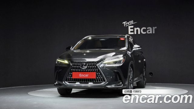 Lexus NX Premium — пробег 118 343 км — фото 3 из 5