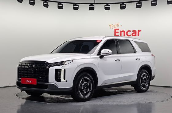 Hyundai Palisade Diesel 2.2 2WD Exclusive — пробег 52 034 км — фото 1 из 5