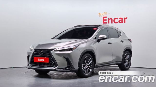 Lexus NX Luxury — пробег 17 685 км — фото 1 из 5
