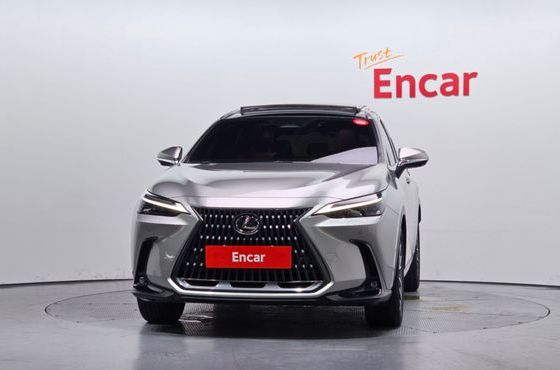 Lexus NX Luxury — пробег 17 685 км — фото 3 из 5