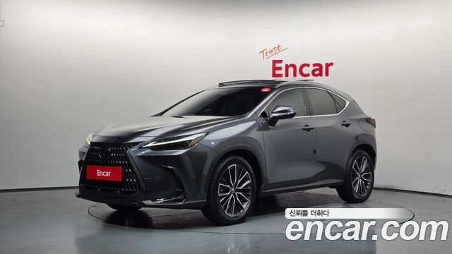 Lexus NX Luxury — пробег 123 063 км — фото 1 из 5