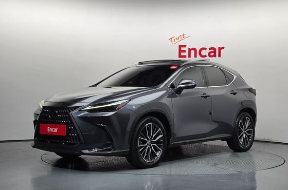 Lexus NX Luxury — пробег 123 063 км — фото 1 из 5