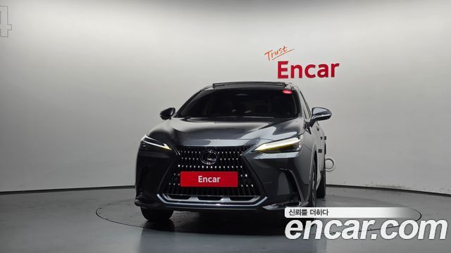 Lexus NX Luxury — пробег 123 063 км — фото 3 из 5