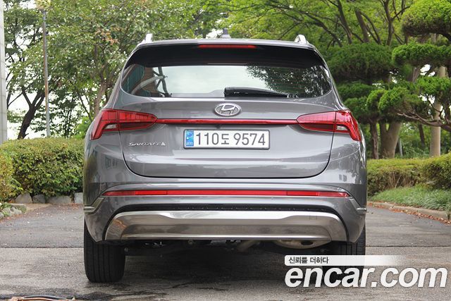 Hyundai Santafe HEV 1.6 2WD Calligraphy — пробег 47 244 км — фото 4 из 5