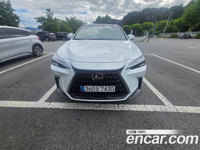 Lexus NX Luxury — пробег 5 000 км — фото 1 из 5