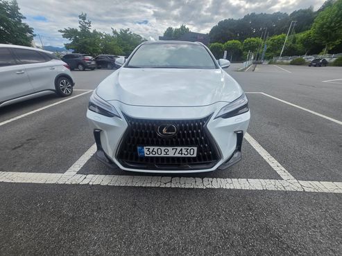 Lexus NX Luxury — пробег 5 000 км — фото 1 из 5