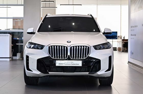 BMW X5 xDrive 40i M Sport — пробег 29 130 км — фото 2 из 5