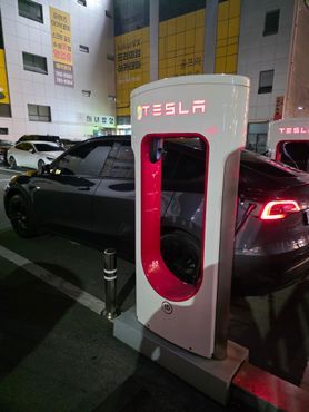 Tesla Model Y Standard Range RWD — пробег 83 500 км — фото 4 из 5