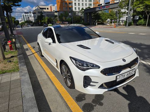 Kia Stinger 2.0 Turbo 2WD Platinum — пробег 92 613 км — фото 3 из 5