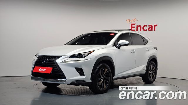 Lexus NX Executive — пробег 53 985 км — фото 1 из 5