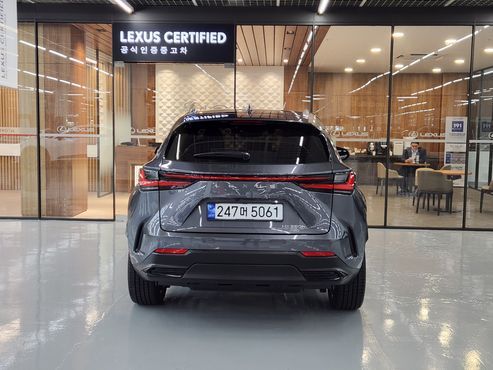 Lexus NX Luxury — пробег 6 026 км — фото 4 из 5
