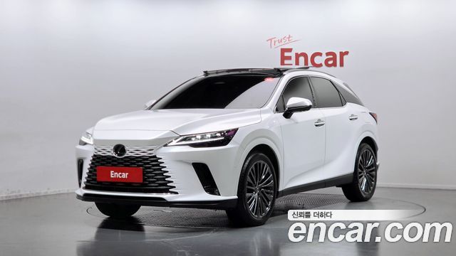 Lexus RX Luxury — пробег 8 441 км — фото 1 из 5