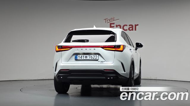 Lexus NX Premium — пробег 13 371 км — фото 4 из 5