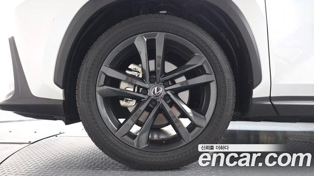 Lexus NX Premium — пробег 13 371 км — фото 5 из 5