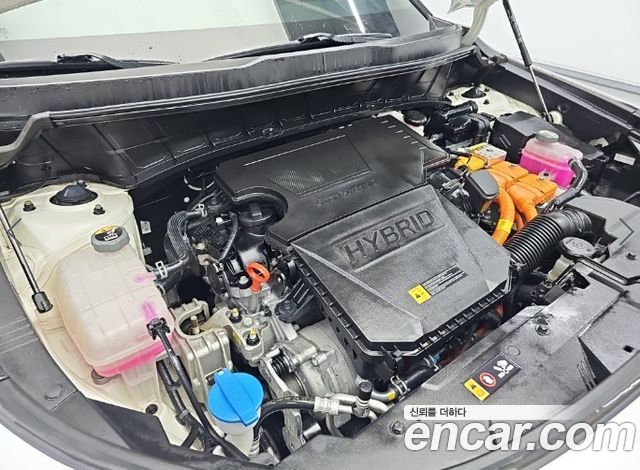 Kia Niro Prestige — пробег 15 748 км — фото 5 из 5