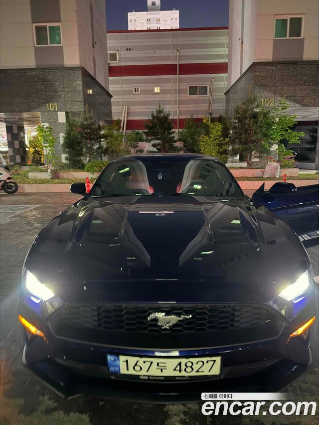 Ford Mustang Convertible — пробег 55 400 км — фото 3 из 5