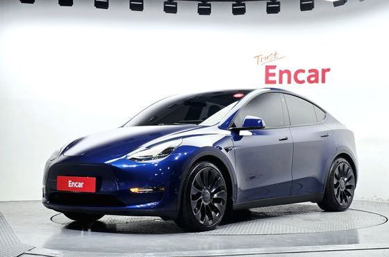 Tesla Model Y Performance AWD — пробег 79 517 км — фото 1 из 5