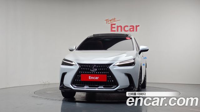 Lexus NX Luxury — пробег 13 253 км — фото 3 из 5
