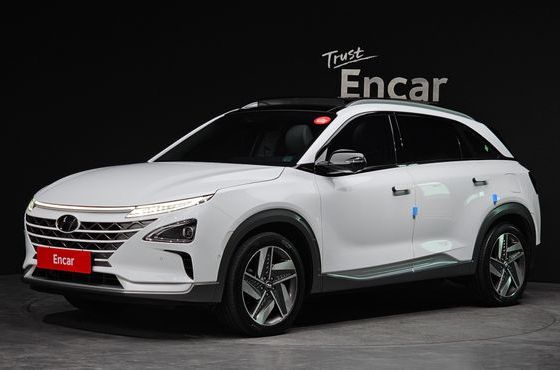 Hyundai Nexo Premium — пробег 99 770 км — фото 1 из 5