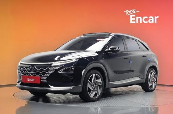 Hyundai Nexo Premium — пробег 54 320 км — фото 1 из 5