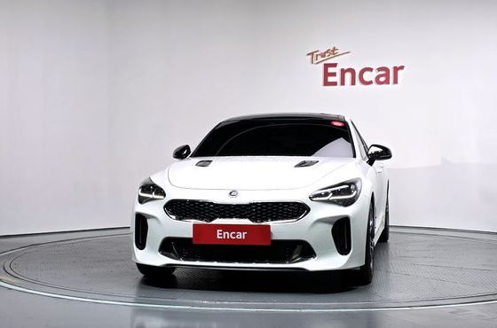Kia Stinger 2.0 Turbo AWD Platinum — пробег 90 601 км — фото 3 из 5