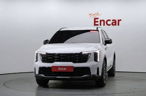 Kia Sorento HEV 1.6 2WD Gravity — пробег 35 695 км — фото 3 из 5