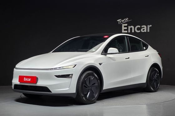 Tesla Model Y Premium Long Range AWD — пробег 28 км — фото 1 из 5