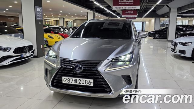 Lexus NX Executive — пробег 13 939 км — фото 1 из 5