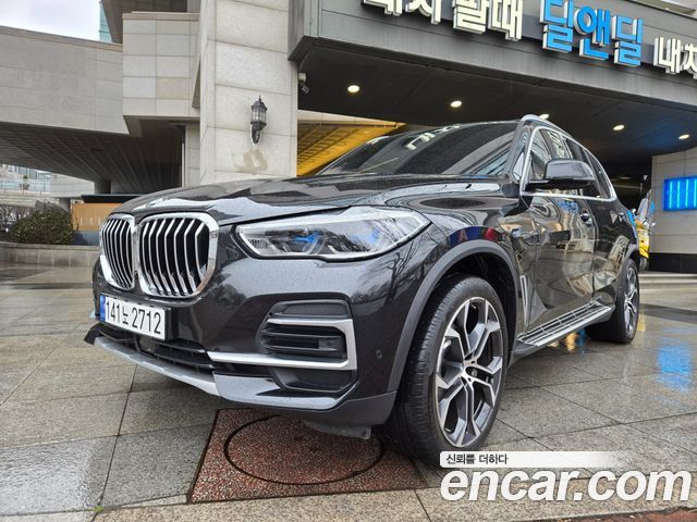 BMW X5 xDrive 40i xLine — пробег 33 000 км — фото 1 из 5