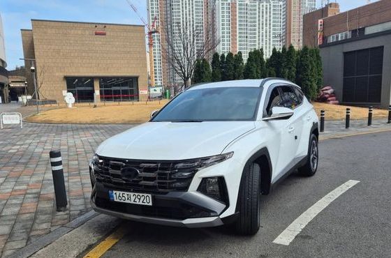 Hyundai Tucson HEV 1.6 2WD Premium — пробег 28 960 км — фото 1 из 5