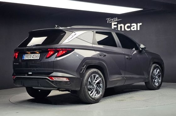 Hyundai Tucson Gasoline 1.6 Turbo 2WD Premium — пробег 47 101 км — фото 2 из 5