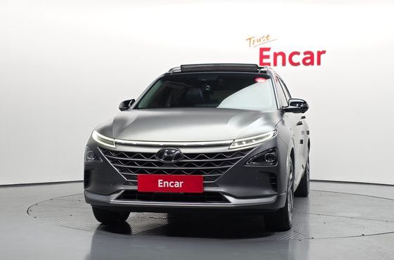 Hyundai Nexo Premium — пробег 140 455 км — фото 3 из 5