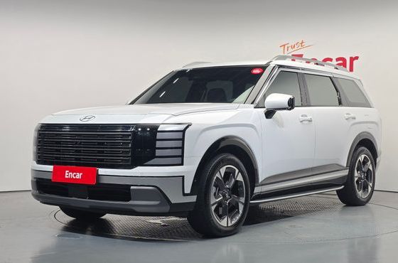 Hyundai Palisade Gasoline 2.5T 4WD 9-Seater Prestige — пробег 12 904 км — фото 1 из 5