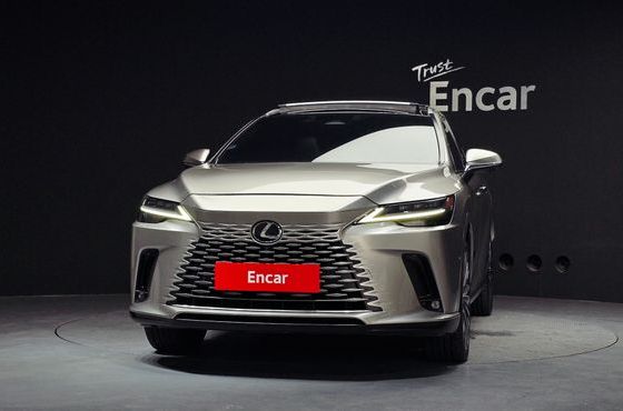 Lexus RX Luxury — пробег 60 331 км — фото 3 из 5