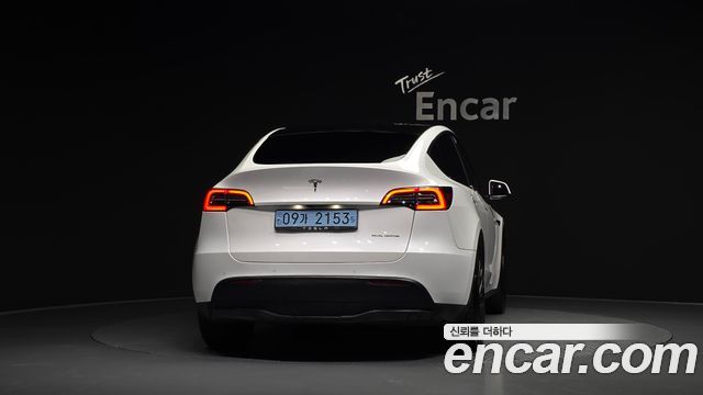 Tesla Model Y Long Range AWD — пробег 120 158 км — фото 4 из 5