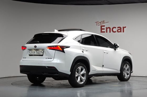 Lexus NX Executive — пробег 113 829 км — фото 2 из 5